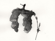 狩人の世紀：打ち損じて(左)  [2009]