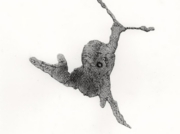 狩人の世紀：打ち損じて(右) [2009]