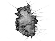 焦りと苛立ちと [2009]