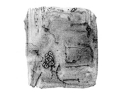 鳥の生息区域 [2009]