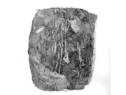 泥にまみれて [2009]