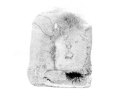 霧のマウンテン [2009]