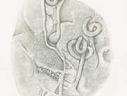 化石：カンブリア紀 2010 Feb [2010]