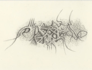 化石：カンブリア紀 2010 April-1 [2010]