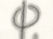 鳥は、光の中に溶けて(5) [2011]