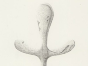 忘れられた人々(1) [2011]