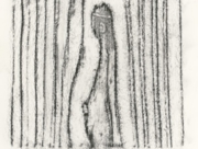 あたらしいいのち [2011]