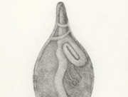 ありがとう、信じてくれて [2011]