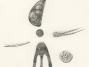 ひとり空を仰いで [2011]