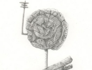 花を目指す玩具 2011 Sep [2011]