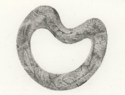 忘れられた人々(7) [2011]