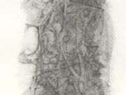 夢の骸(むくろ) [2011]