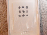 タイムカプセル S2 [2007]