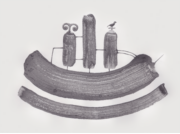 舟は進む、静かに [2012]