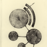 鳥を目指す玩具 2010 April-2