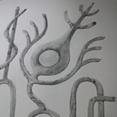 樹は眠るのか 眠るとしたら夢を見るのか