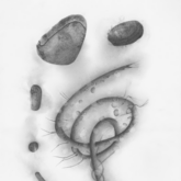 雑音の中から音楽を探す