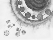 日周運動／限りある時間 [2014]