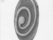 聴覚の化石2 [2013]