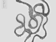 悲しい気持ち II [2013]