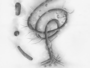 雑音の中から音楽を探す [2013]