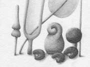 何らかの植物 2013 流星 [2013]