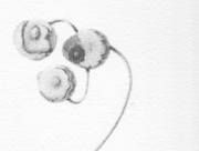 Brocante：蚤の市のガラクタ (a1) [2014]