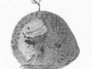 こんにちは、新しい世界_02 [2014]