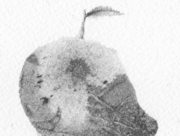 こんにちは、新しい世界_03 [2014]