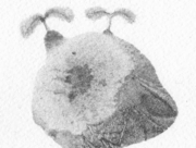 こんにちは、新しい世界_04 [2014]