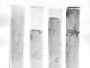 先祖たち(1) [2014]