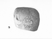 遠く離れて [2014]