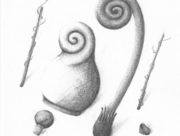 何らかの植物 2014 Nov. 北風に向かう [2014]