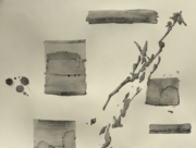 日本人に生まれて [2014]