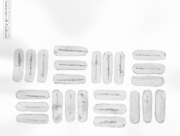 その星で最初の生命 [2015]