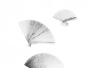 胡蝶の夢 (1) [2015]