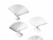 胡蝶の夢 (2) [2015]