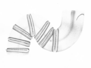 陶芸家への道(2) [2015]