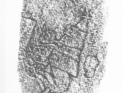 埋もれていた記憶 [2015]