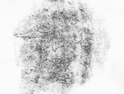 夜には魔物が棲んでいる [2015]