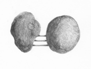 でこぼこコンビなふたり [2015]