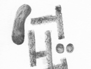 食べて行くこと [2015]