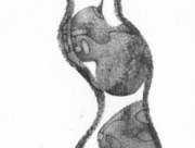 溶け合うかたち [2015]