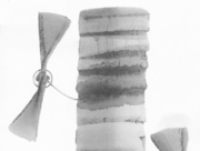 空を飛ぶ夢 (1) [2015]