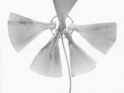 Solid Colours：太陽と風のちから (2) [2015]