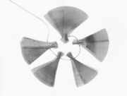 Solid Colours：太陽と風のちから (4) [2015]