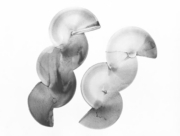 菌類の帝国 2015 Dec. (4) [2015]