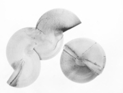 菌類の帝国 2015 Dec. (5) [2015]